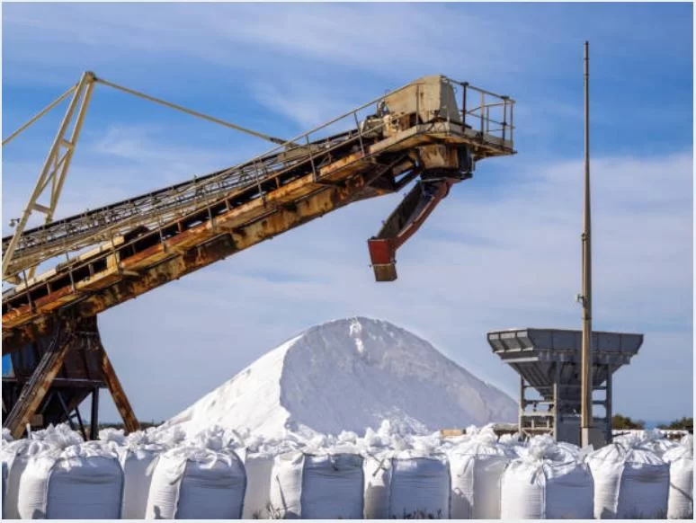 Custom & Specialty Applications