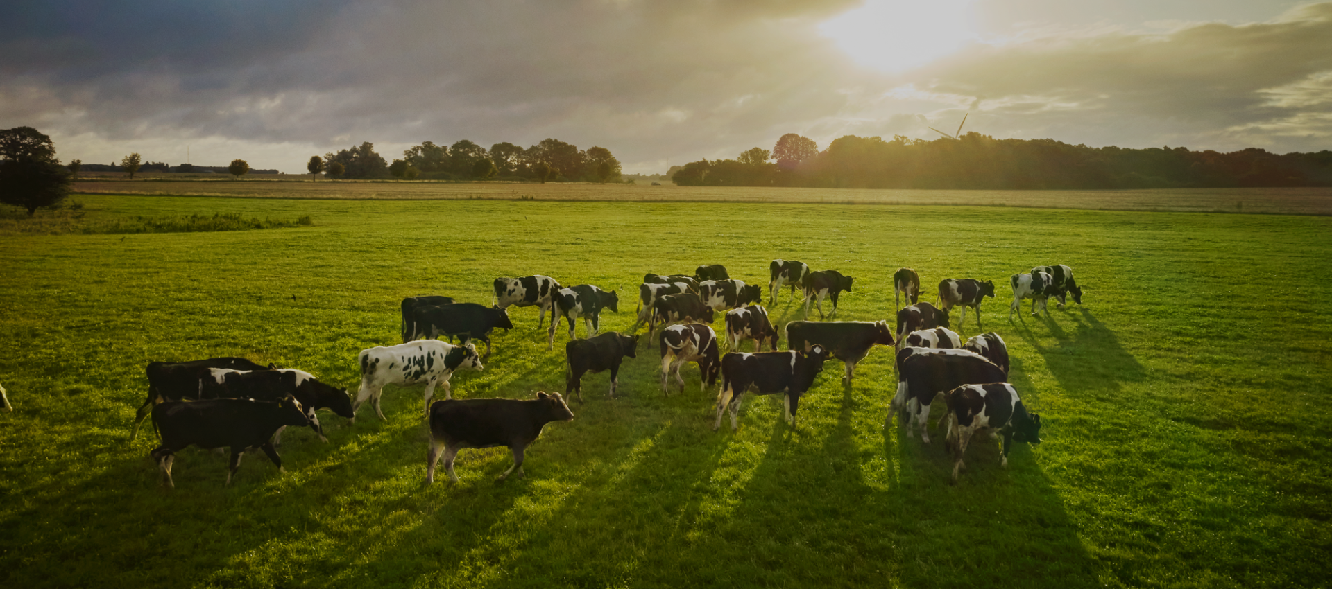 HHHGVB Houde Stainless Steel Products